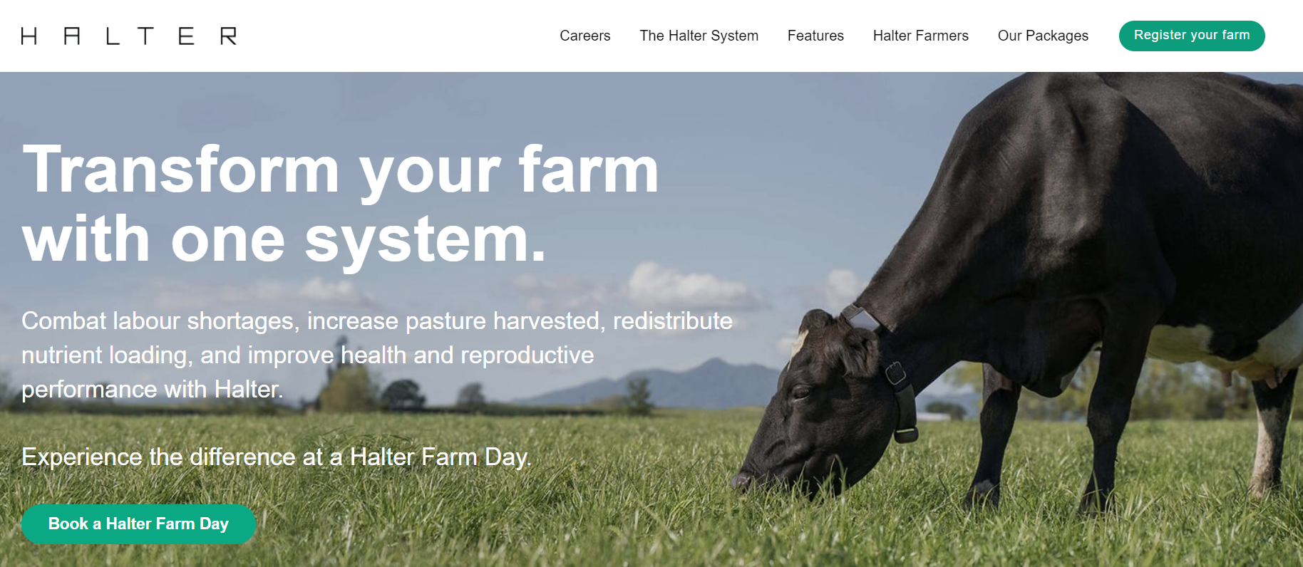 halterhq