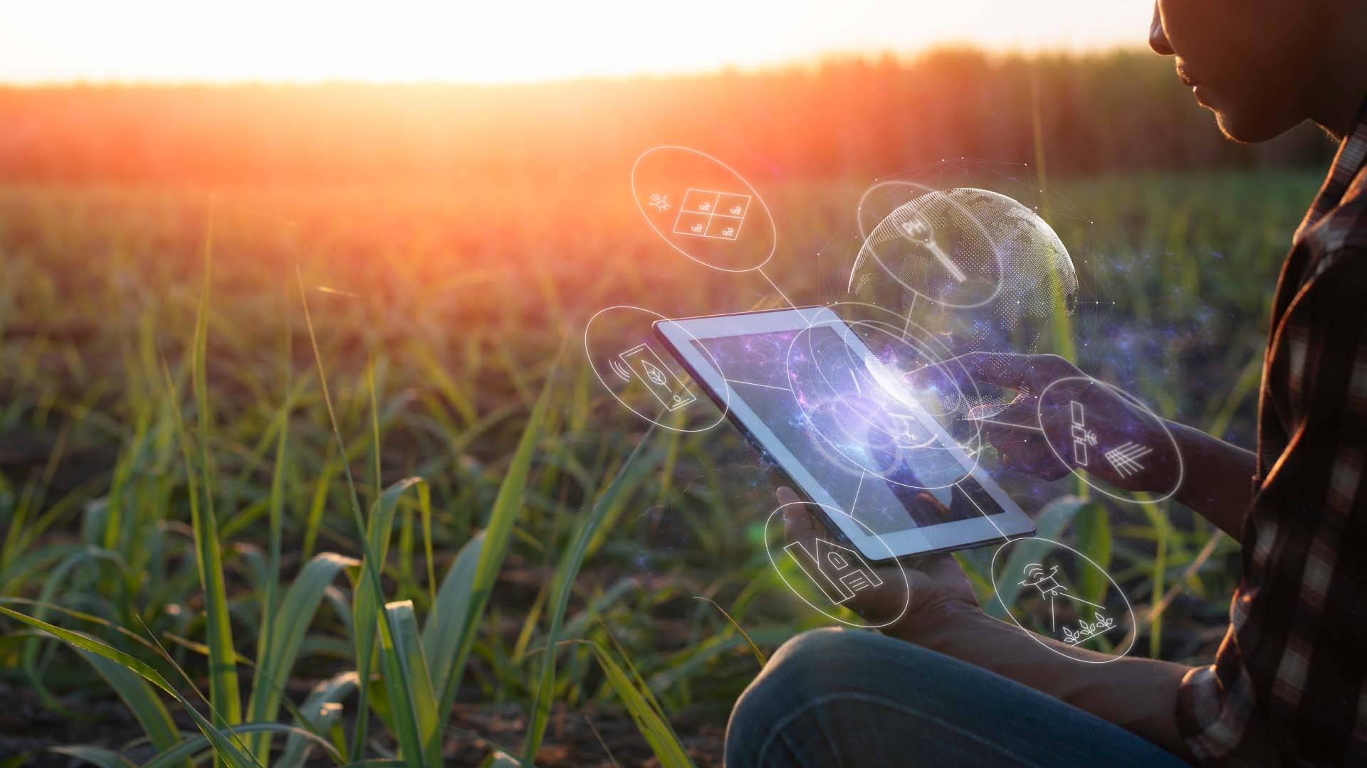 agriculture solutions