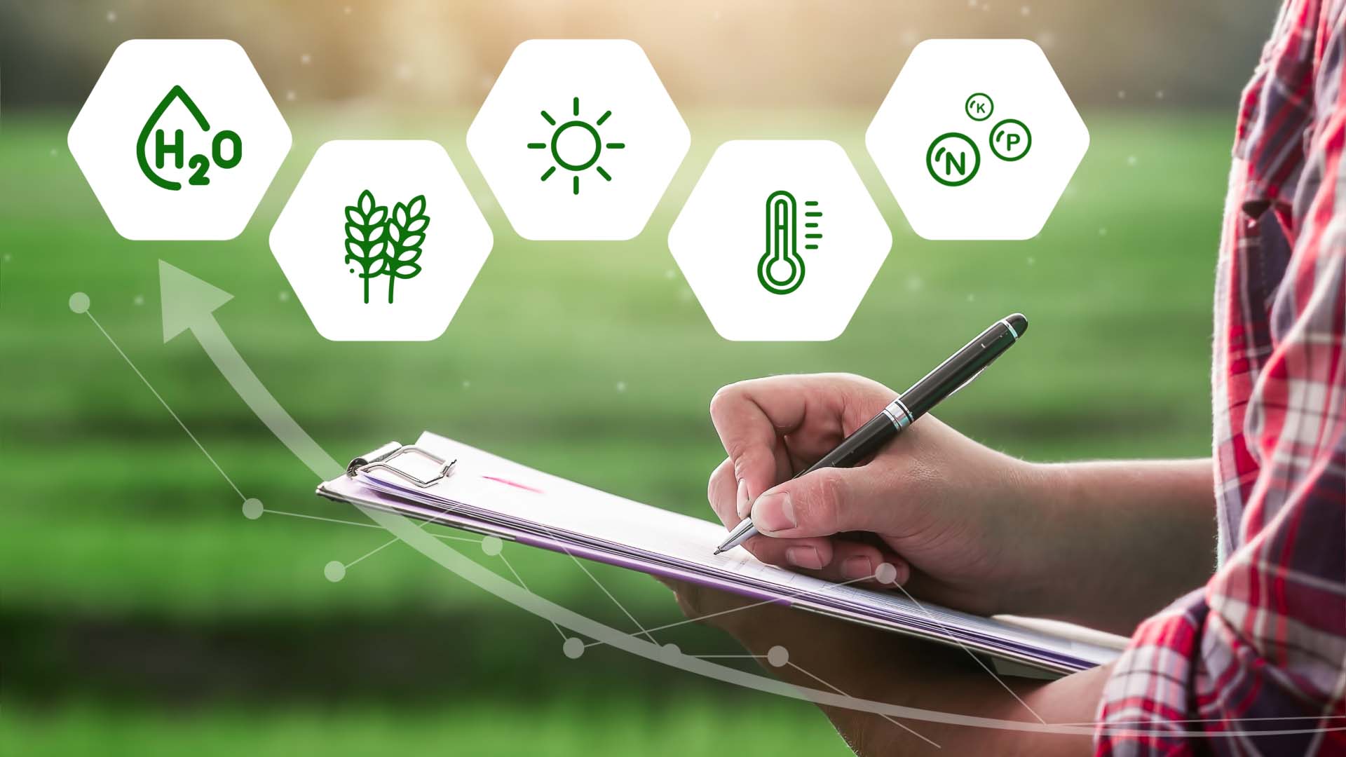 agriculture management