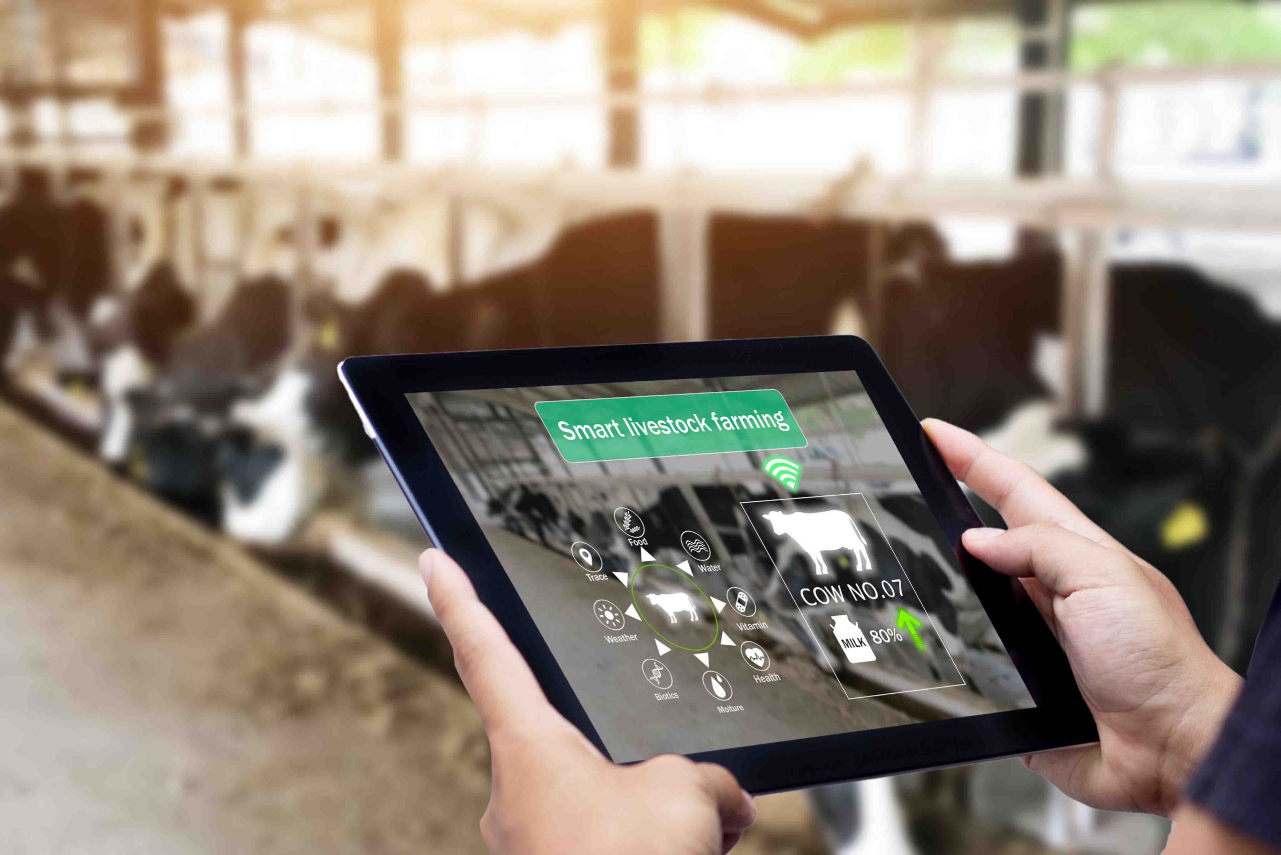 The Importance of Livestock Management Software for Farmers