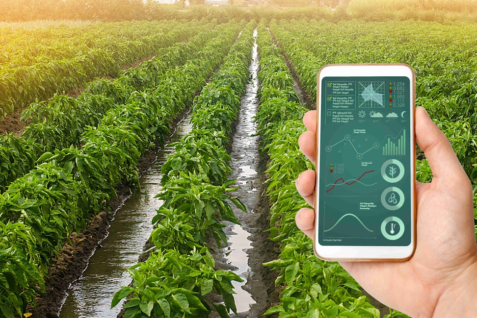 Enhance Your Financial Management with AgriERP Accounting Software