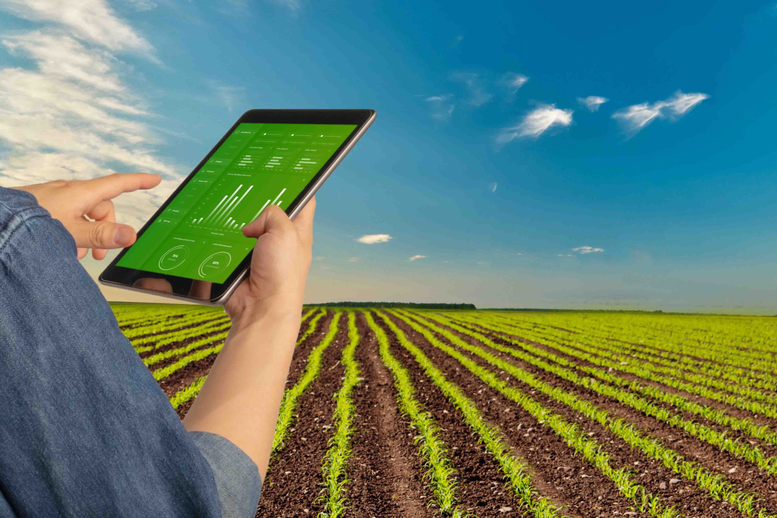 Best Farm Accounting Software Solutions