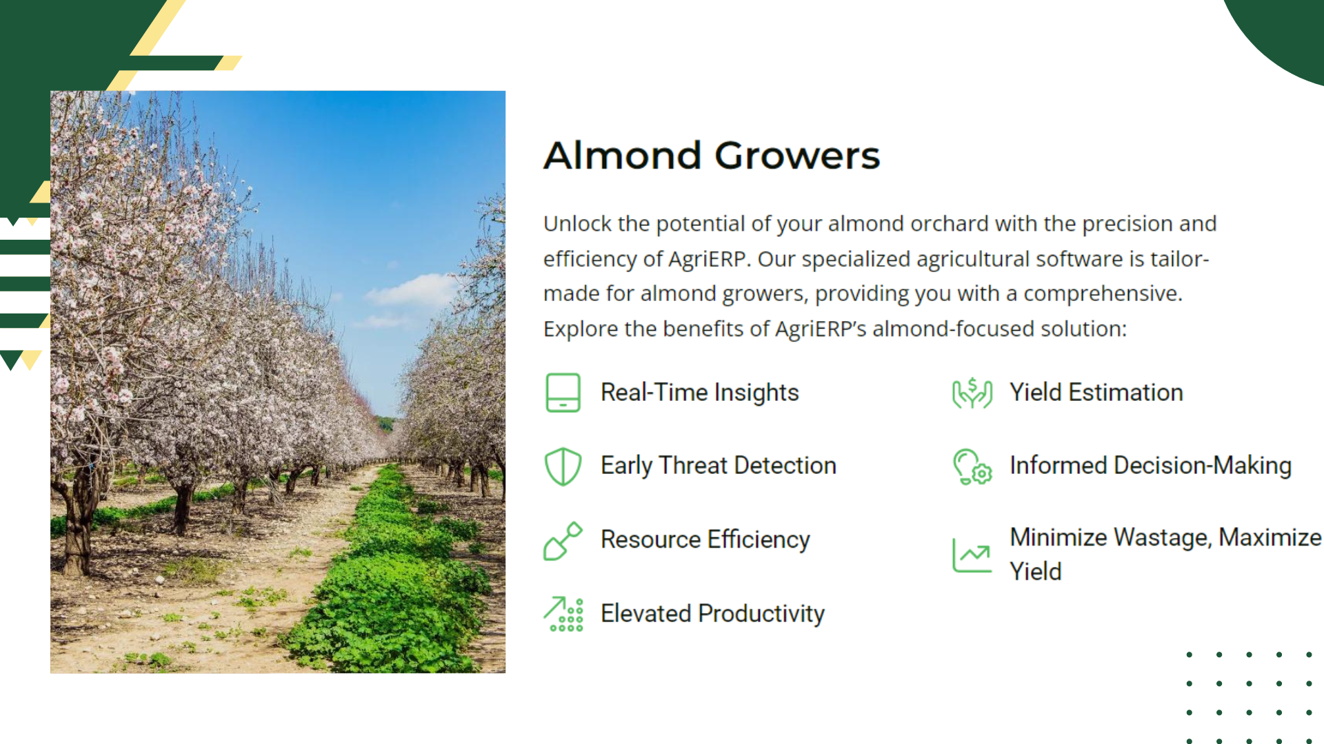 Almond farming