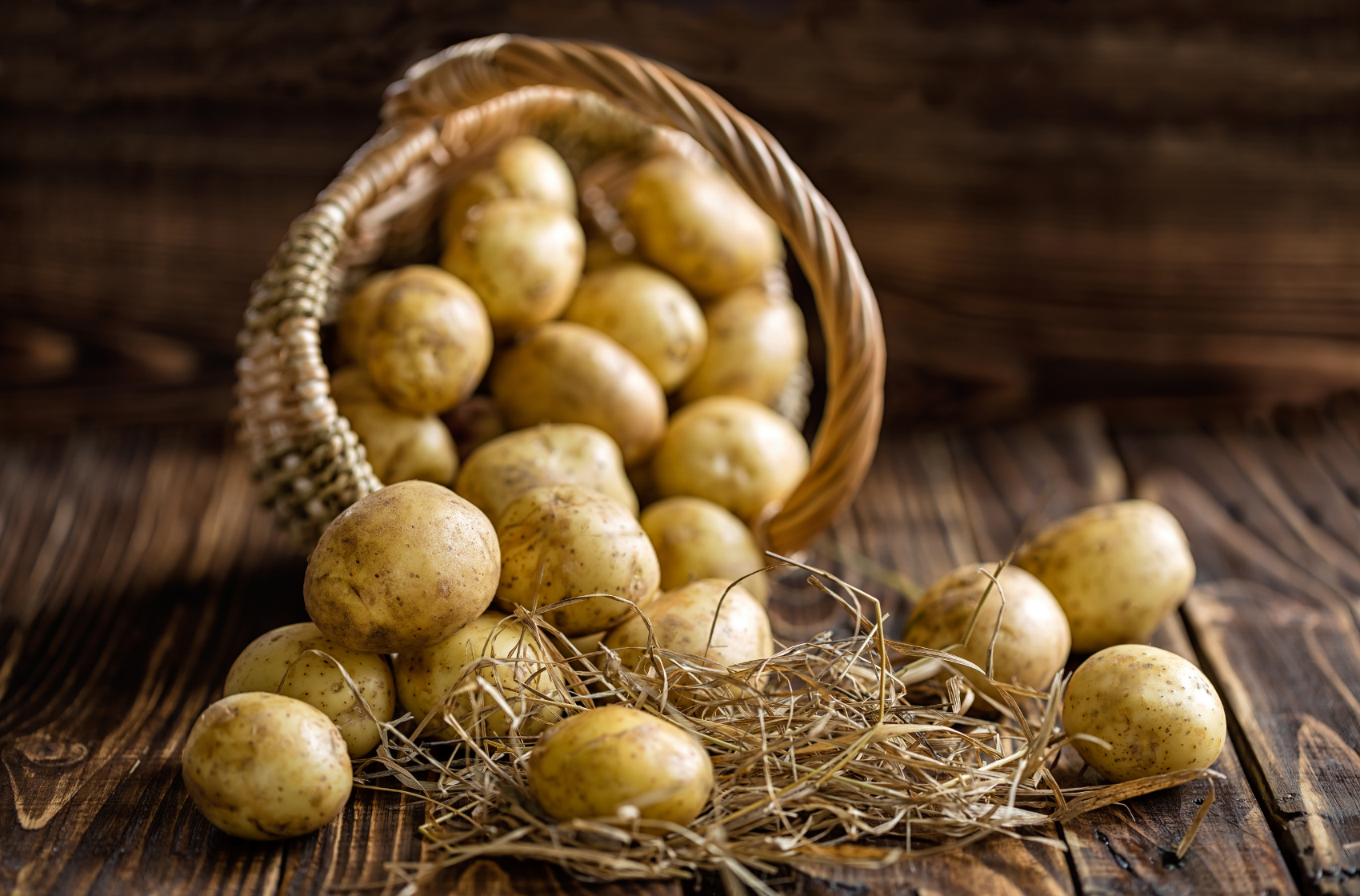 Potato Farming