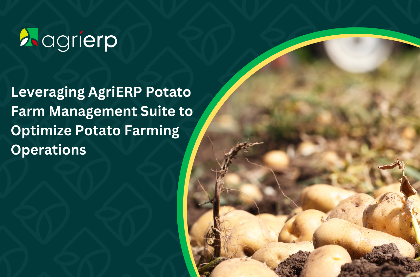 agrierp