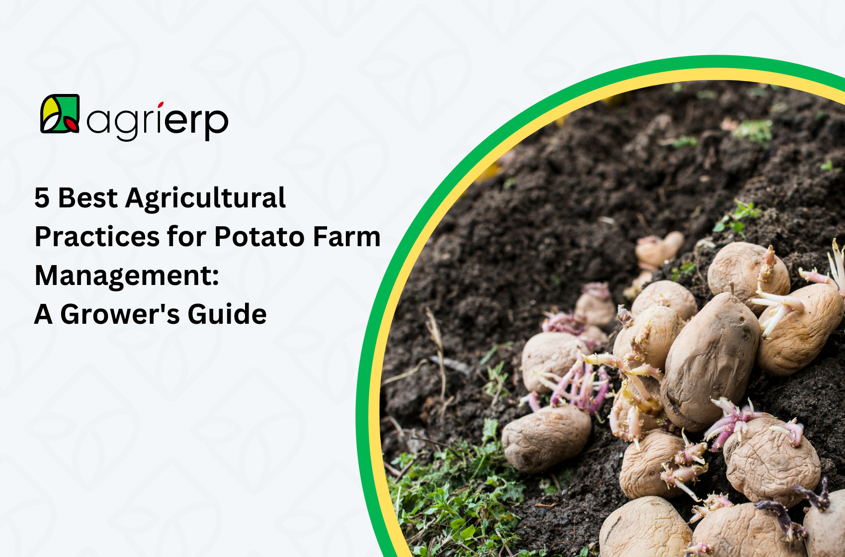 agrierp