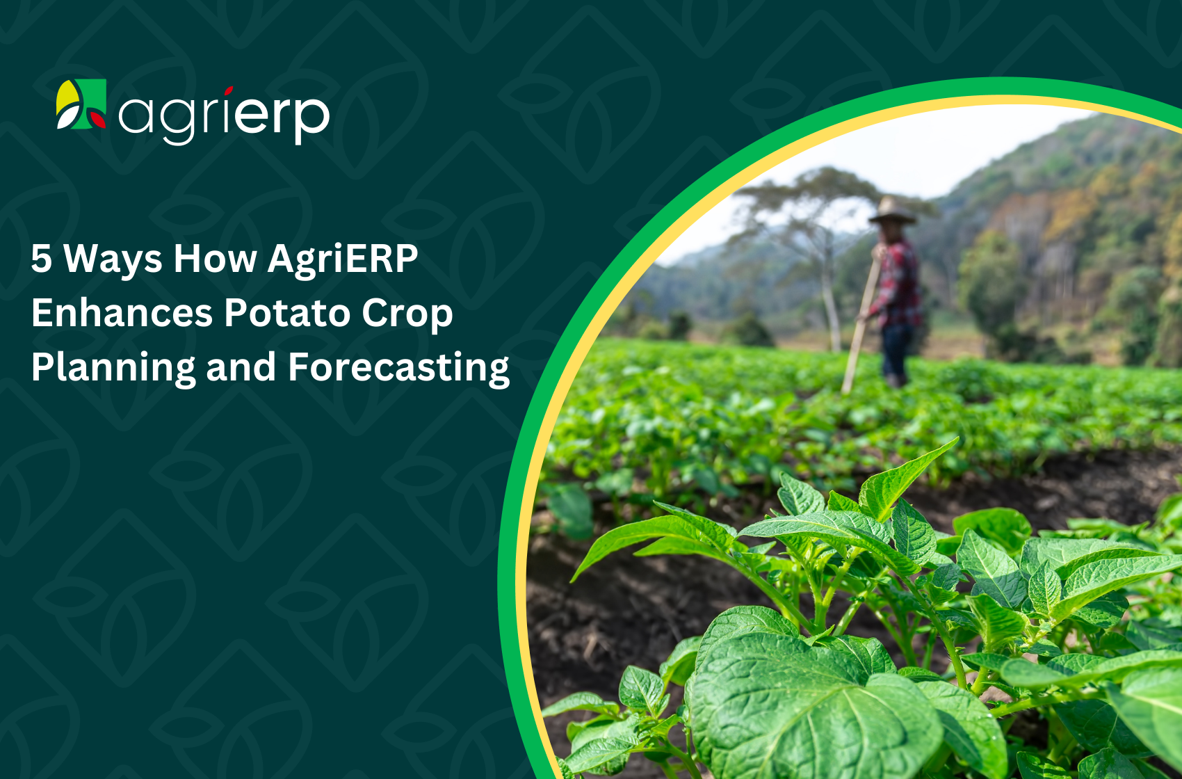 agrierp