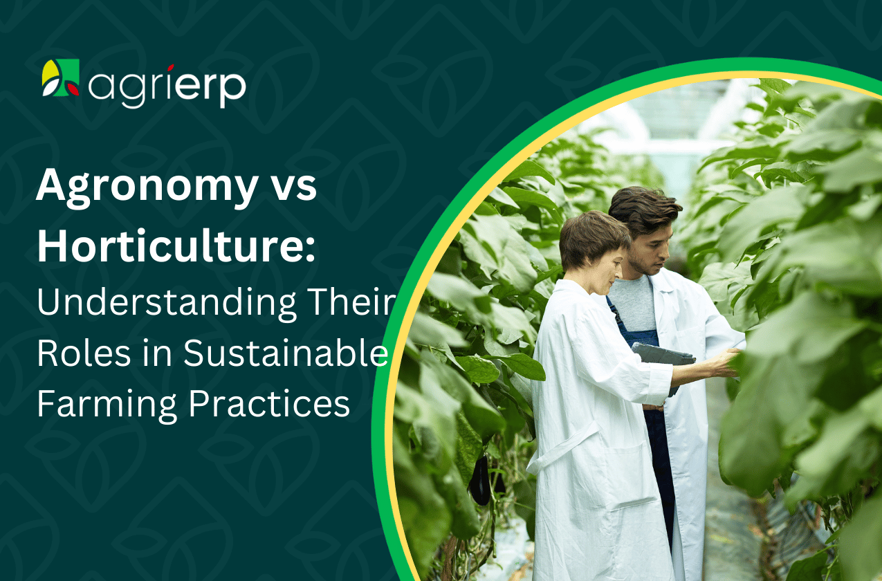 Agronomy-vs-Horticulture_-Understanding-Their-Roles-in-Sustainable-Farming-Practices