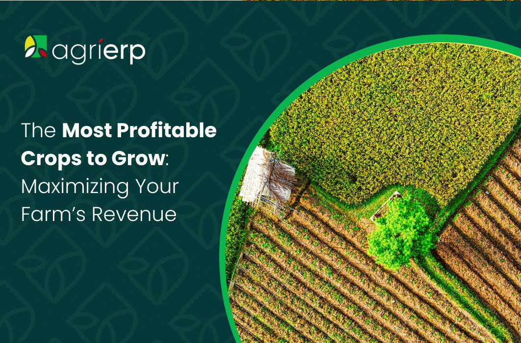 The-Most-Profitable-Crops-to-Grow_-Maximizing-Your-Farms-Revenue
