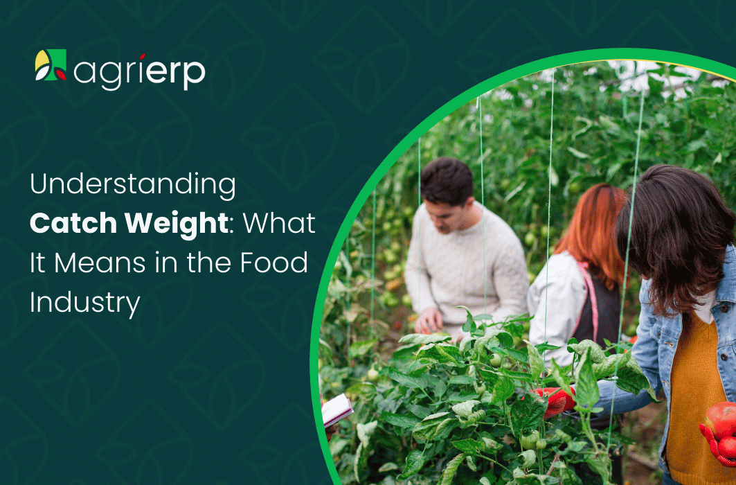 Understanding-Catch-Weight_-What-It-Means-in-the-Food-Industry