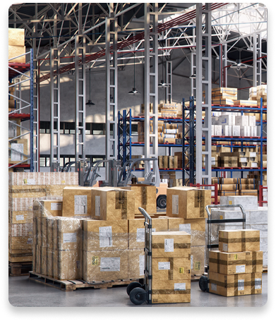 Dispatch & Shipments