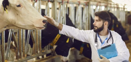 Analyze feed & nutrition data to optimize animal health