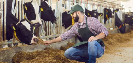 Analyze performance data to optimize breeding and feeding strategies