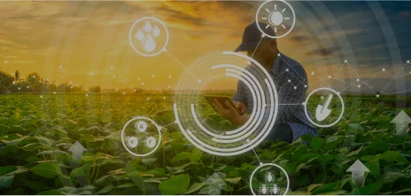 Crop Activity and Operations