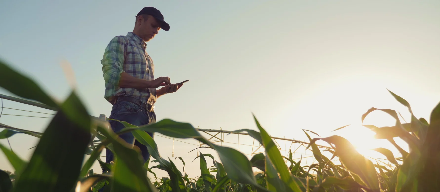 Crop Management
