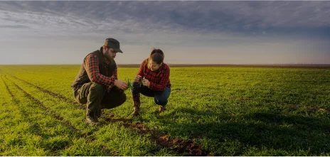 Crop Rotation Management