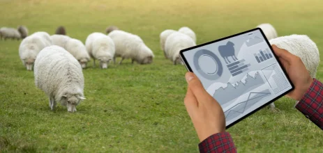 Detailed record-keeping of animal information