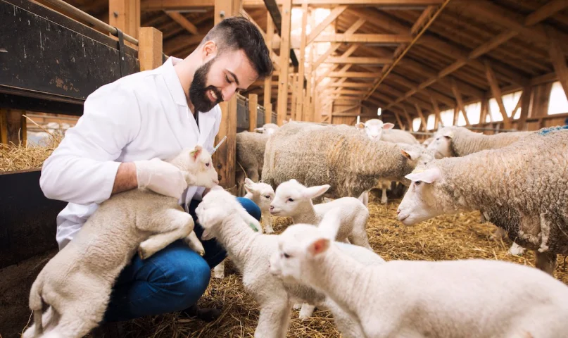 Feed and nutrition management