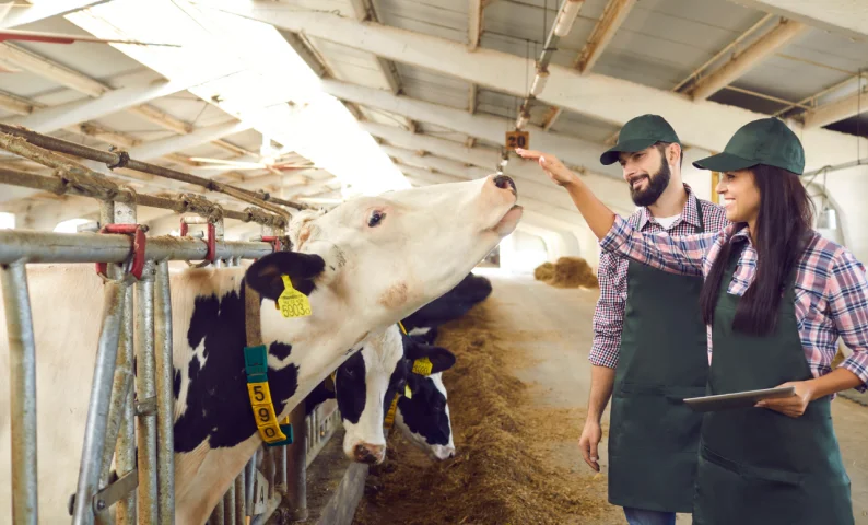 Livestock inventory tracking