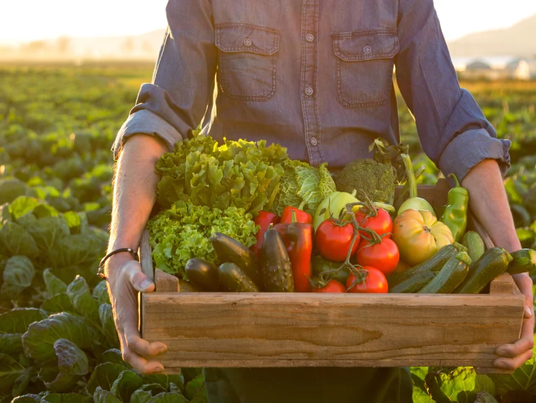 Organic Farming
