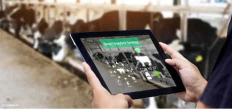 Real-time tracking of livestock inventory levels