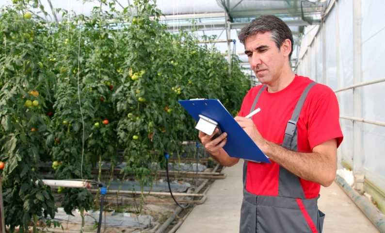 Sales Order Management