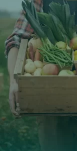Vegetable Farms