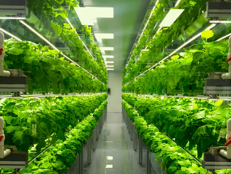 Vertical Farming