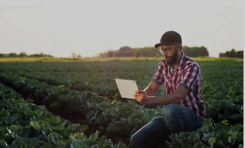 Crop Rotation Management