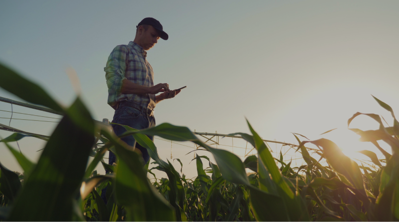 Crop Management Software