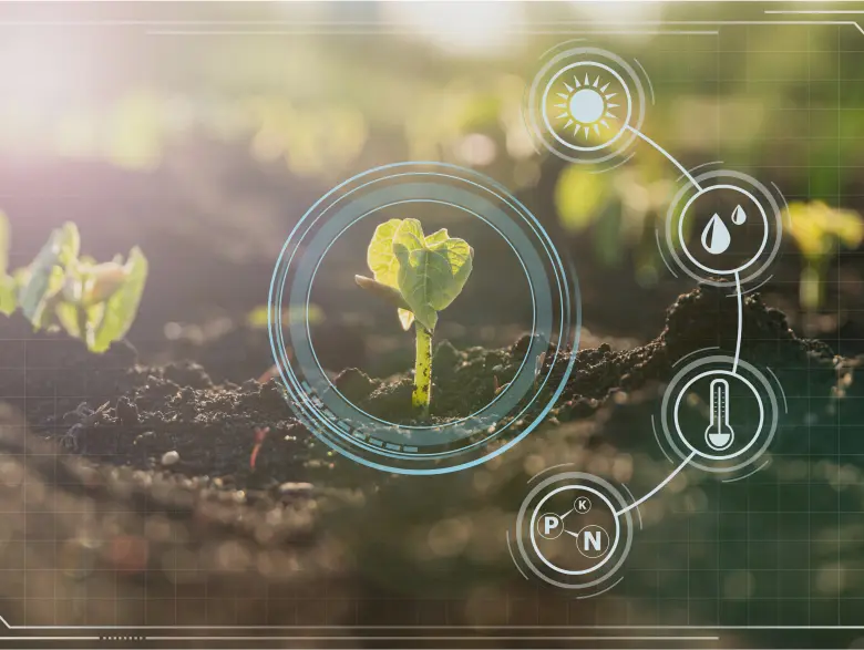 potato-farm-operation-management-img