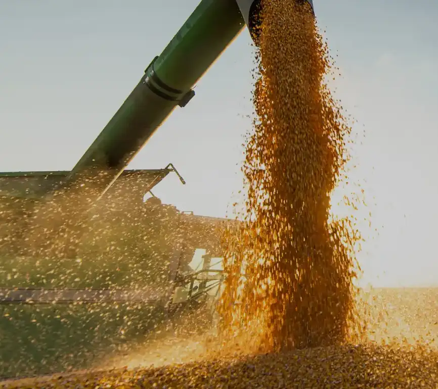 crop-management-updated-img