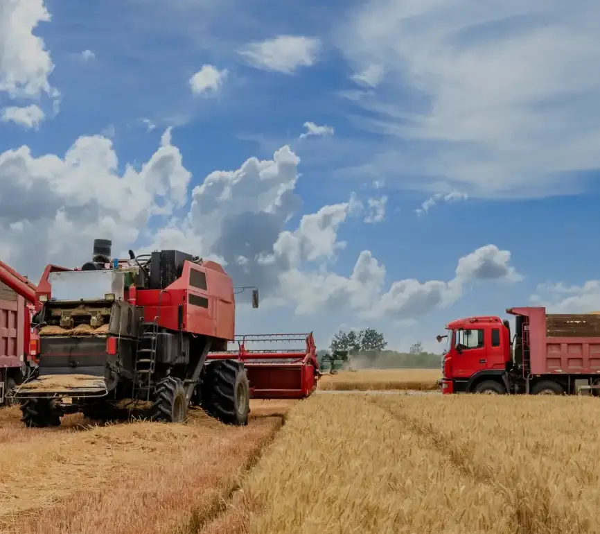 farm-shipping-packing-updated-img