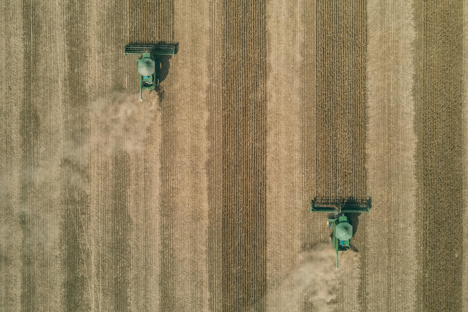 Soybean Harvest Outlook 2025 | Stress and Disease Risks