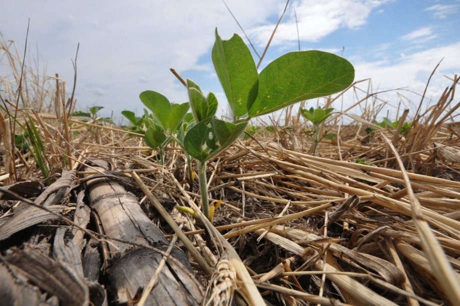 regenerating soil health requires an open mind